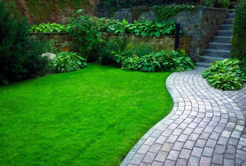 Les &eacute;tapes cl&eacute;s de la cr&eacute;ation de jardin &agrave; Amn&eacute;ville